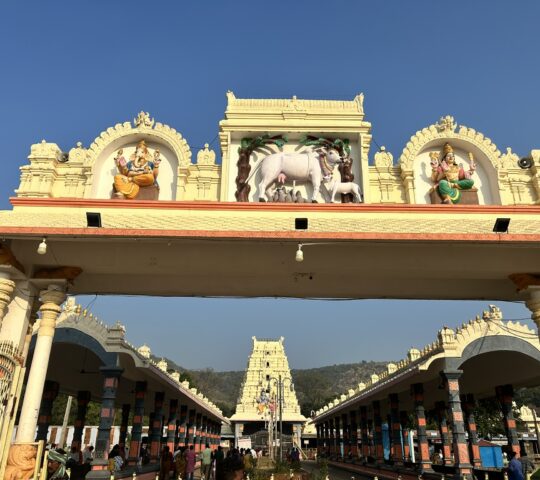 Maha Nandiswara Swamy Temple , Mahanandi , Kurnool – Andhra Pradesh