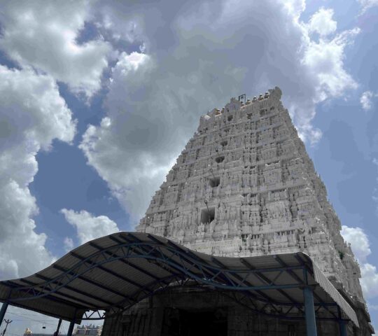 Sri  Kalayana Venkateswara Swamy Temple , Narayanavanam , Andhra Pradesh