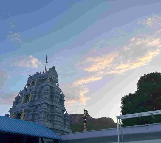 Sri Prasanna Venkateswara Swamy Temple, Appalayagunta , Andhra Pradesh 517551