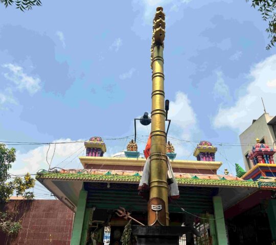 Brahma Sutra Sivalingam , Sri Parvathi Sametha Someswara Swamy Devalayam , Somavaram, Gandhinagar, Bhimavaram, Andhra Pradesh 534202