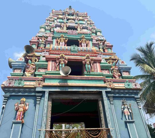 Sri Naga Lingeshwara Swamy Temple,  Nagaram , Keesara , Secunderabad, Telangana 500083