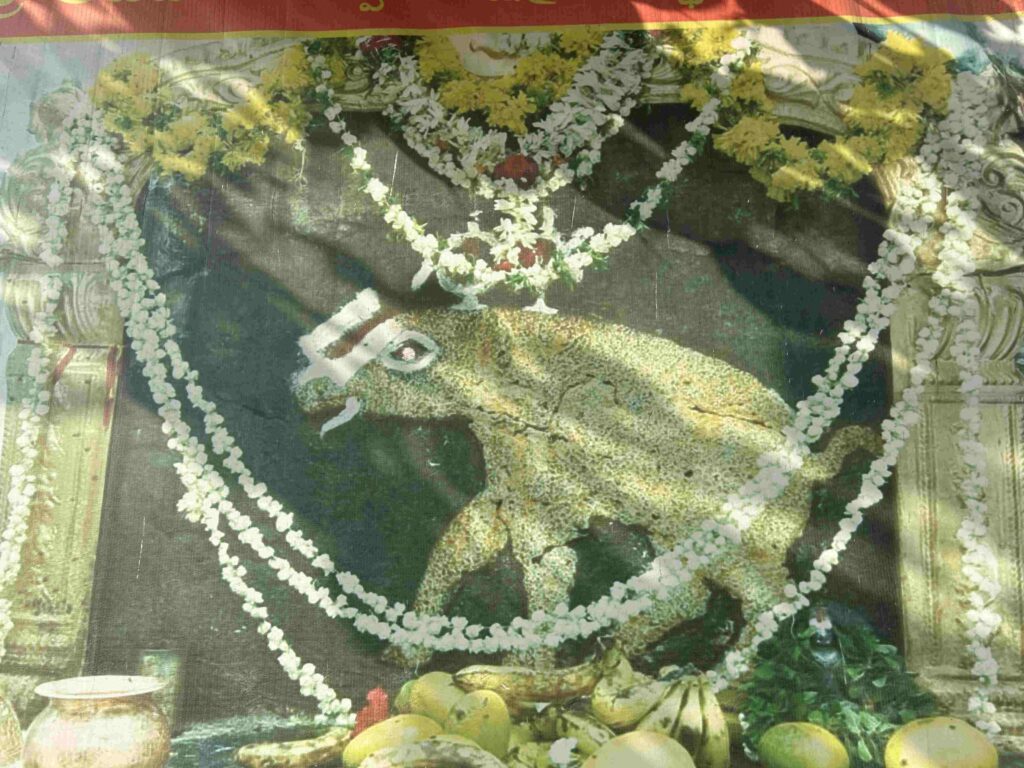 Sri Aadhi Varaha Swamy Devasthanam - Kamanpur