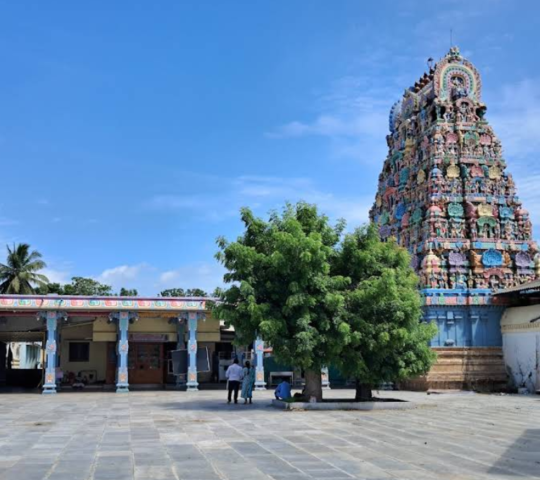 Sri Garbaratchambigai Temple , Thirukkarugavur , Tamil Nadu 614302 Sri Garbaratchambigai Temple , Thirukkarugavur , Tamil Nadu 614302