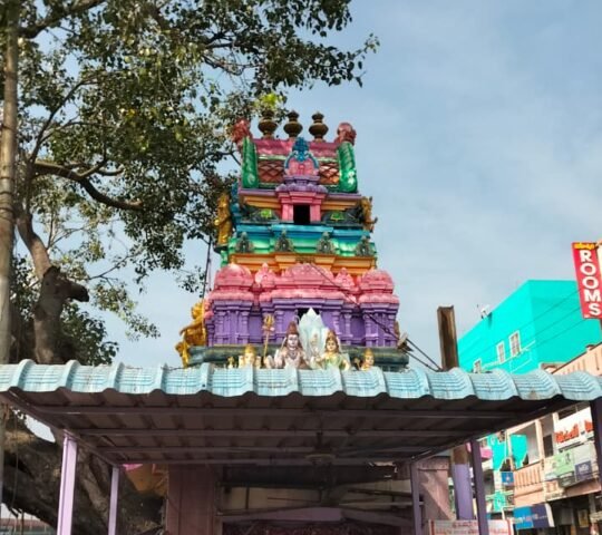 Vinayaka Temple , Canal Rd,  Kaleswara Rao Market, Tarapet, Vijayawada, Andhra Pradesh 520001