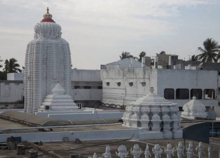 Lord Surya idol at Arasavilli Surya Temple Andhra Pradesh
