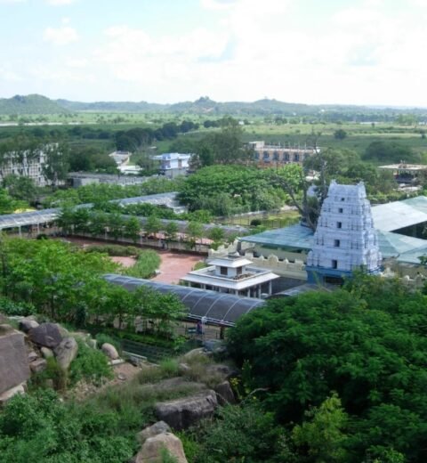 Top Surya Narayana Swamy Temples to Visit in Telangana & Andhra Pradesh: A Ratha Saptami Guide