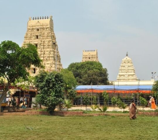 Sri Venkateswara Swamy Vari Devasthanam , Dwaraka Tirumala , Andhra Pradesh 534426