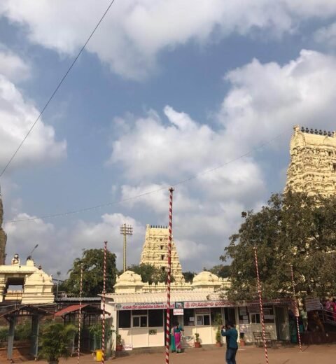 Top Surya Narayana Swamy Temples to Visit in Telangana & Andhra Pradesh: A Ratha Saptami Guide