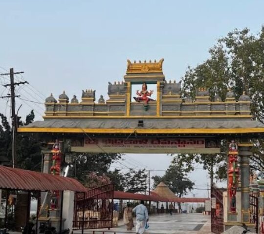 Sri Bhadrakali Temple, Tadkamalla Village, Warangal, Telangana 506007