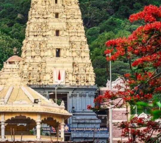 Sri Hemachala Laxmi Narasimha Swamy Devalayam,Mallur, Telangana 506172