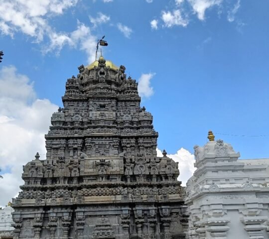 Sri Kurmanatha Swamy temple , Srikurmam, Andhra Pradesh 532404